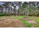 Expansive land showing trees and green areas at 1277 Bethany Rd, Covington, GA 30016