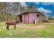 Exterior shot of an metal outbuilding on a grassy lot with a donkey at 1277 Bethany Rd, Covington, GA 30016