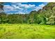 Expansive green field with trees under a blue, cloudy sky at 1277 Bethany Rd, Covington, GA 30016