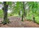 Metal gate surrounded by thick forest at 1277 Bethany Rd, Covington, GA 30016