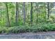 A backyard with lots of trees at 1806 Royal Troon Ct, Duluth, GA 30097