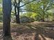 View of home and large yard, framed by tall trees at 1099 Warren Dr, Riverdale, GA 30296