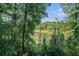 Scenic backyard view overlooking lush greenery and a serene pond with trees in the background at 1850 Brooks Pointe Ct, Lawrenceville, GA 30045