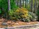 A stunning backyard with flowering plants in a mulch bed, and mature trees at 201 Aster Ct, Canton, GA 30114