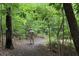 A gravel walking trail winding through a wooded area, offering residents a peaceful outdoor experience at 201 Aster Ct, Canton, GA 30114