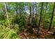 Expansive backyard with mature trees, offering privacy and a natural setting at 403 S River Farm Dr, Alpharetta, GA 30022