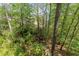 View of wooded backyard, offering privacy and a natural setting at 403 S River Farm Dr, Alpharetta, GA 30022