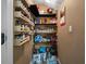 Walk-in pantry with shelving offers ample storage space at 704 Williamsburg Ct, Villa Rica, GA 30180