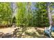 A sprawling backyard featuring mature trees, a playset, a fire pit area, and inviting seating for relaxation at 4016 Upland Trce, Marietta, GA 30066
