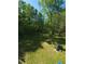 Expansive backyard with lush greenery and mature trees, offering plenty of space for outdoor activities at 4775 Ben Hill Rd, Douglasville, GA 30134