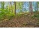 Scenic backyard with mature trees and natural foliage at 4510 Trumble Ter, Snellville, GA 30039