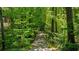 Pathway leading to the residence surrounded by lush trees and natural scenery at 2208 Guinevere Ne Way, Atlanta, GA 30345