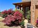 Inviting front entrance with lush landscaping and a well-manicured lawn at 3315 Sardis Bend Dr, Buford, GA 30519