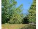 Backyard featuring greenery and fire pit at 1703 Laurel Creek Cir, Lithonia, GA 30058