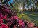 Beautiful azaleas bloom in the spring in the well-maintained and peaceful backyard at 2380 Emerald Dr, Loganville, GA 30052