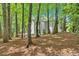 Rear exterior of the home surrounded by mature trees, featuring a wooden deck and natural landscaping at 4380 Laurian Nw Dr, Kennesaw, GA 30144