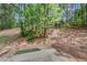 View of a natural wooded backyard, with scattered trees and a small concrete patio area, showcasing nature at 2640 Thunder Basin Way, Douglasville, GA 30135