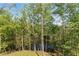 Wooded backyard view with mature trees and landscaping offering privacy and natural beauty at 3290 Dunlop Ne Ct, Atlanta, GA 30319