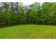 Large backyard with mature trees and lush green grass offers privacy and a serene setting at 51 Sagemont Ct, Acworth, GA 30101