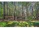 This backyard features tall trees, grassy area, and a lot of natural beauty at 192 Adelaide Xing, Acworth, GA 30101