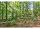 Backyard with green trees and various foliage, a stone pathway, and potential outdoor space at 3704 Wilkins Cir, Powder Springs, GA 30127