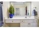 Bright bathroom with a white vanity, a large mirror and a blue potted plant at 3704 Wilkins Cir, Powder Springs, GA 30127