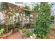 Lush greenhouse interior with a variety of plants and a wooden pergola structure at 3704 Wilkins Cir, Powder Springs, GA 30127