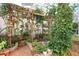 Lush greenhouse interior with wooden pergola and diverse plant collection at 3704 Wilkins Cir, Powder Springs, GA 30127