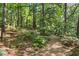 Beautiful landscaped yard featuring mature trees and a winding gravel path, creating a serene outdoor oasis at 3704 Wilkins Cir, Powder Springs, GA 30127