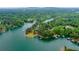 Breathtaking aerial view of waterfront homes surrounded by lush greenery and docks at 3865 Adams Rd, Cumming, GA 30041