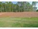 Expansive, well-maintained backyard featuring lush greenery and a sloping landscape at 82 Lexie Court, Rockmart, GA 30153