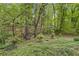 Beautiful backyard view featuring lush greenery and mature trees, offering a private and serene setting at 480 Springs End Ne Ln, Marietta, GA 30068