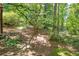 Secluded backyard area with natural landscaping and wooded surroundings for outdoor enjoyment at 1851 Mount Vernon Rd, Dunwoody, GA 30338