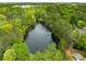 Scenic aerial view of a serene lake surrounded by lush greenery and mature trees at 9295 Martin Rd, Roswell, GA 30076