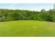 Extensive green space surrounded by mature trees, perfect for outdoor activities and enjoying nature at 9295 Martin Rd, Roswell, GA 30076