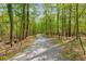 Scenic walking trail lined with lush green trees, creating a peaceful and natural environment at 9295 Martin Rd, Roswell, GA 30076