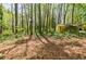 Backyard features a mix of open space and natural growth at 2680 Irene Dr, Marietta, GA 30066