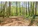 The backyard features a mature tree line and a large area for recreation or gardening at 2680 Irene Dr, Marietta, GA 30066