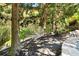 Shaded backyard with a hammock between mature trees and landscaping at 265 Tara Trl, Atlanta, GA 30327