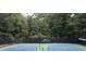 Well-maintained tennis courts at Haynes Landing with black fencing and court-side seating at 3585 Legacy Trce, Alpharetta, GA 30022