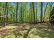 Lush backyard with mature trees, providing shade and privacy at 2022 Ramblewood Ne Ct, Marietta, GA 30062