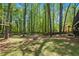 Large backyard with mature trees and a fire pit at 2022 Ramblewood Ne Ct, Marietta, GA 30062
