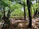 A lush backyard oasis featuring mature trees and natural beauty, offering a tranquil escape into nature at 921 Hemingway Rd, Stone Mountain, GA 30088
