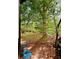 Scenic backyard with a stepping stone path leading to a lush, green lawn and mature trees, blending nature and home at 921 Hemingway Rd, Stone Mountain, GA 30088