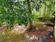 A backyard with landscaping, trees, stepping stones, and a partial fence creating a serene and private outdoor space at 921 Hemingway Rd, Stone Mountain, GA 30088