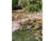 A backyard creek with clear water and rocky banks, surrounded by lush foliage, inviting exploration and relaxation at 921 Hemingway Rd, Stone Mountain, GA 30088
