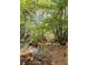 Scenic backyard featuring a creek flowing through lush greenery, creating a peaceful and natural setting at 921 Hemingway Rd, Stone Mountain, GA 30088