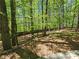 A view of a private backyard surrounded by tall, mature trees at 610 Brington Close, Alpharetta, GA 30022