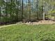 Serene wooded backyard featuring mature trees and natural landscaping providing privacy and tranquility at 713 Parkside Dr, Woodstock, GA 30188