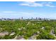 Expansive aerial view of the city skyline surrounded by lush green trees on a clear day, showcasing an urban oasis at 1008 Lena Nw St, Atlanta, GA 30314